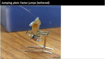Jumping MicroRobot