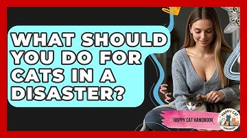 What Should You Do For Cats In A Disaster? - Happy Cat Handbook