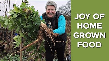 Amazing Parsnip Harvest | Abundance in practice