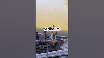 Mancing ikan nila #reels #reel #fish #fishing #fypシ #short #shorts #shortvideo #video #viral #happy