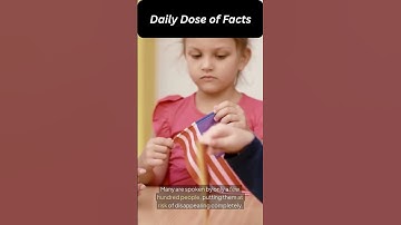 Did You Know? 7,000+ Languages Exist Around the World!