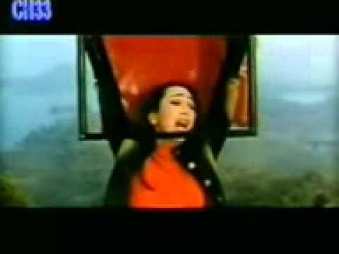 هوصلك تامر حسنى استمتع برعايه اخوكم كول