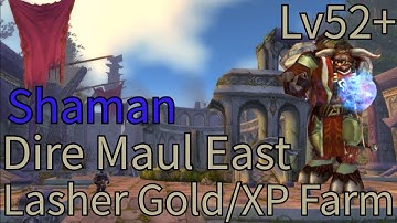 Turtle WoW - Shaman Solo DME Lashers.