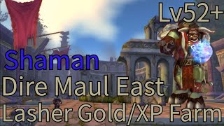 Turtle Wow  Shaman Solo Dme Lashers