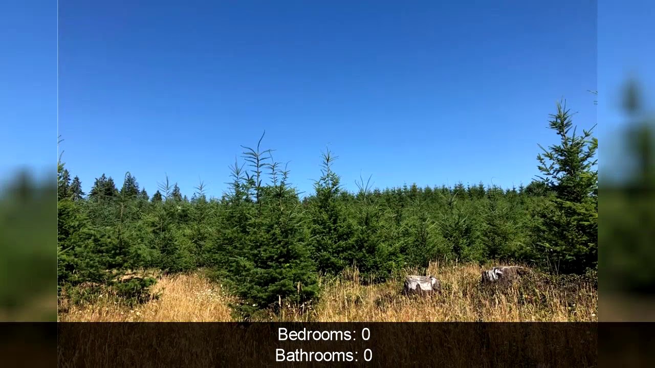 Silverlake Lots and Land For Sale Taylor Rd, Silverlake, WA 98645 YouTube