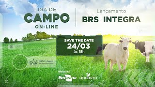 Dia de Campo on-line - Lançamento BRS Integra