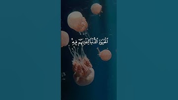 تلاوة نادرة ومؤثرة من سورة طه: "وَلَا تَمُدَّنَّ عَيْنَيْكَ…" | #قرآن_كريم #المنشاوي