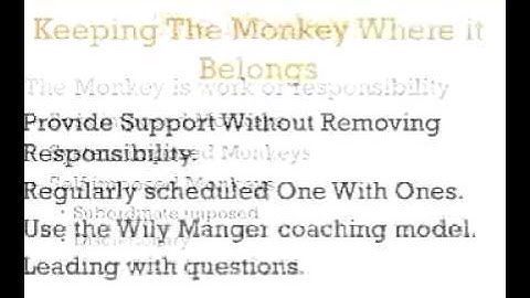 Delegating Responsibility: The Monkey on Your Back - A 3-Minute Crash Course