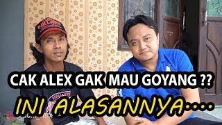 Q & A ALEX NEW PALLAPA