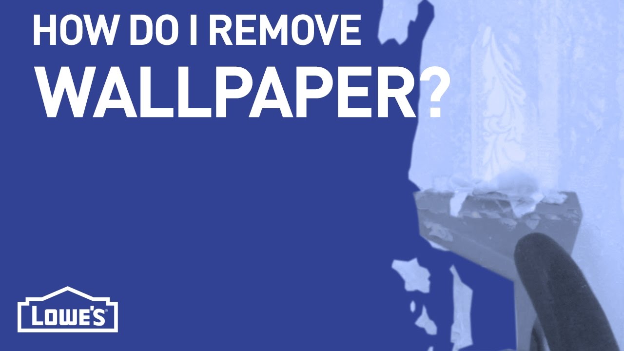 How Do I Remove Wallpaper? | DIY Basics