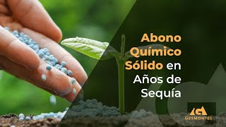 Abono Químico Sólido en Años de Sequía