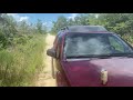 🔴 переспать в ДЖУНГЛЯХ 🔴 Америка для ПУТЕШЕСТВИЙ Hopkins Prairie Campground Florida USA 11.09.2020