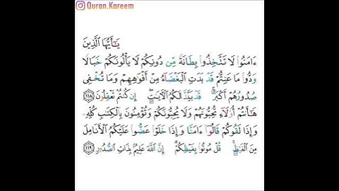 القارئ ماهر المعيقلي - سورة آل عمران - من الآية 118 إلى الآية 119