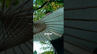 How Japan Turned Bamboo Into the World's Most Elegant Umbrella 🤯
