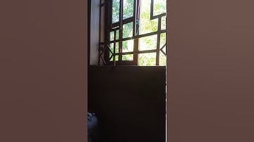 Dũng hài cốt- nhạc beat mầm non- mùa hè đến