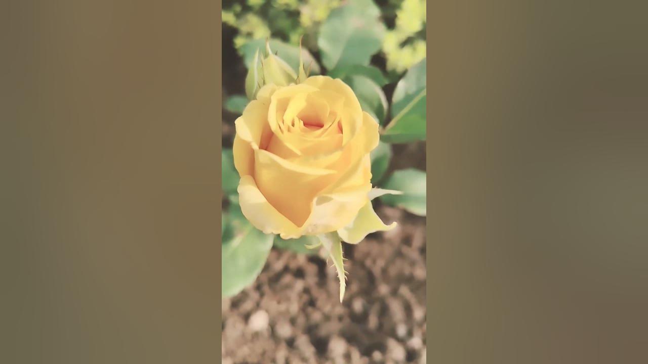 chinu-keep-calm-just-chill-chintumyhappiness-youtube