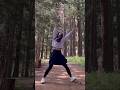 ヴィブラスラップでノらざるをえない。respect:@comoco #星のカービィ #kirby #キャンディ山 #komoko #youtubeshorts #reels #tiktok
