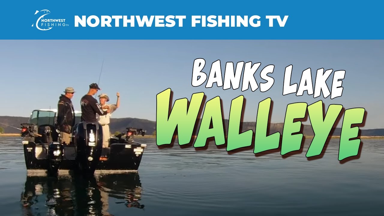 Banks Lake Walleye 101 You Banks Lake Walleye 101 Northwest Fishing Reports