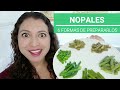 NOPALES sin BABA y VERDES,  seis formas de preparar los nopales y que queden perfectos