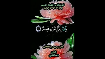 #مَا أَصَابَ مِن مُّصِيبَةٍ إِلَّا بِإِذْنِ اللَّه #ماتيسر_من_سورة #التغابن #القارئ #رعد_الكردي 🌴