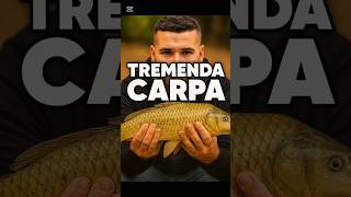 SORPRESA! Carpa! 🔥 en el último segundo! 😱🎣 #Carpa #Fishing #Shorts #ViralShorts