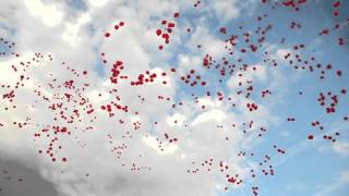 Campaign of Defending Catalan Culture