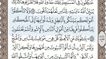 الصفحة التاسعة والعشرون ( 29/604) محمد المنشاوي - الختمة المرئية بالصفحات للقرآن الكريم