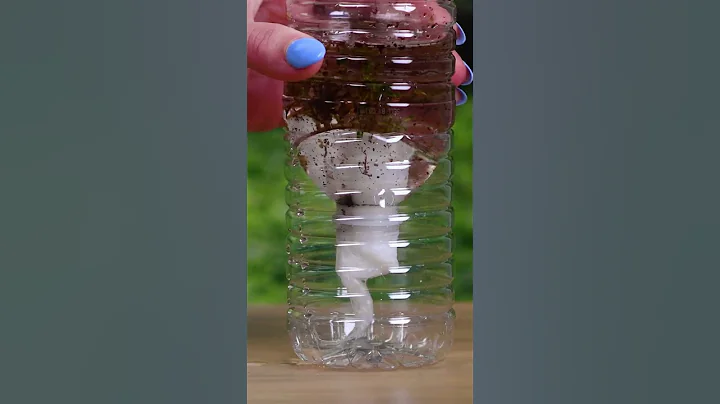 Clean Water Hack When Camping #Shorts - DayDayNews