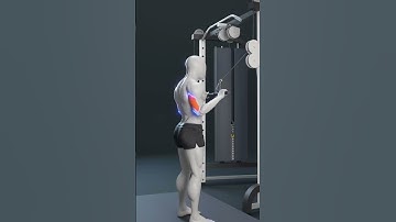 perfect tricep pushdown.. #perfect #perfectform #motivation #triceps #pushdown