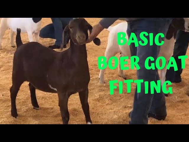 Market Goat Clipping Chart