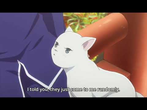 Fruits Basket Episode 26: The Evolution of Yuki – Coherent Cats