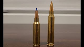 300 WSM vs 300 Winchester Mag