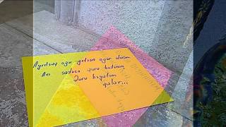 Seni Sevirem Leman