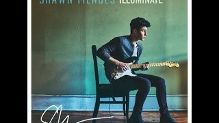 Shawn Mendes - Mercy (acoustic)