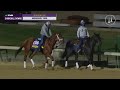Breakfast at the Breeders' Cup 2020:  11/5