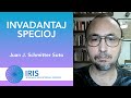 Invadantaj Specioj - Juan J. Schmitter Soto | IRIS 2021