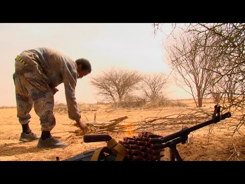 Sahel'de Savaş: Mali'nin yeni efendileri kimler?