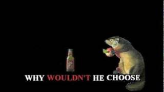 Karli J. Woodchuck Cider 20th Anniversary Contest Entry