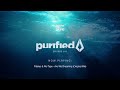 Purified radio 387