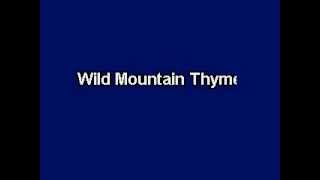 Wild Mountain Thyme, Karaoke video with lyrics, Instrumental version chords