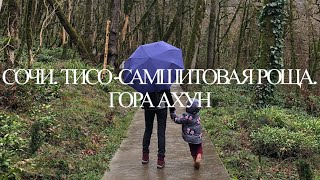 Сочи Тисо - Самшитовая Роща , Гора Ахун