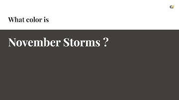November Storms color #423f3b hex color - Grey color - Cool color 423f3b