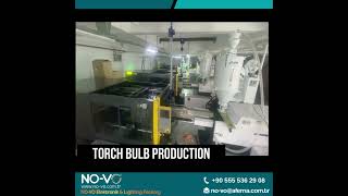 No Vo Led Torch Bulb Production