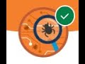 Salesforce Bug Bounty Program - All Challenges in 1 video ! || Salesforce