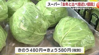 1玉580円も！高値傾向続くキャベツ 販売側や飲食店、消費者の現状
