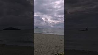 Orca Close In At The Beach