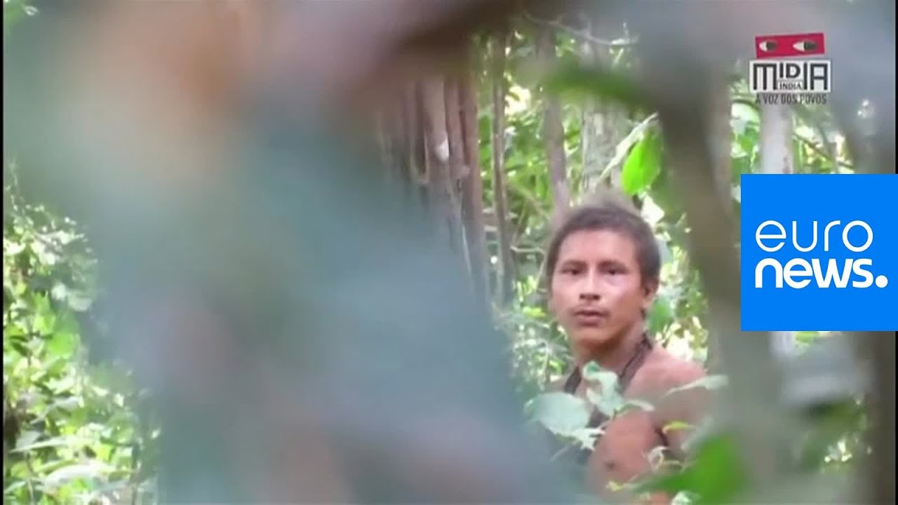 Watch: Footage of uncontacted Amazon tribe members emerges as deforestation expands european news agency