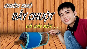 Chiên khô bẫy chuột và cái kết... | Bẫy chuột thông minh