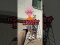 遺産は全部兄が相続！私に残ったのは祖母の古着だけ。でもその中に秘密があった。
