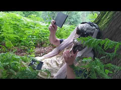 ბუ - პირველი ალბომი და ლექსების კრებული